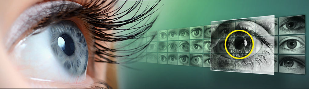 VeriEye SDK 虹膜识别开发包